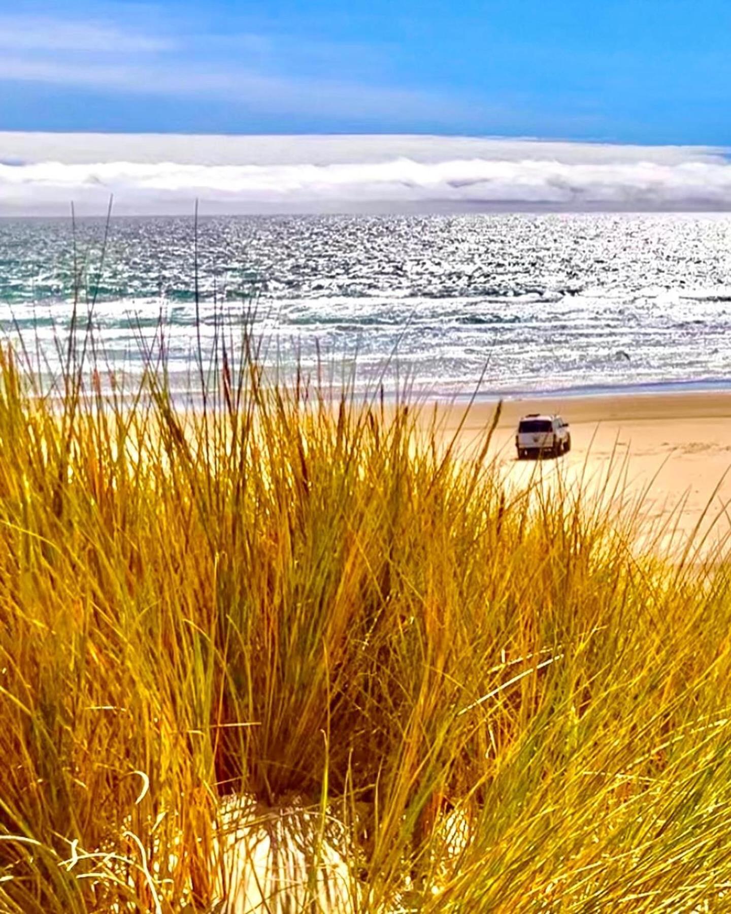 Tropical Retreat Close To Beach غروفير بيتش المظهر الخارجي الصورة